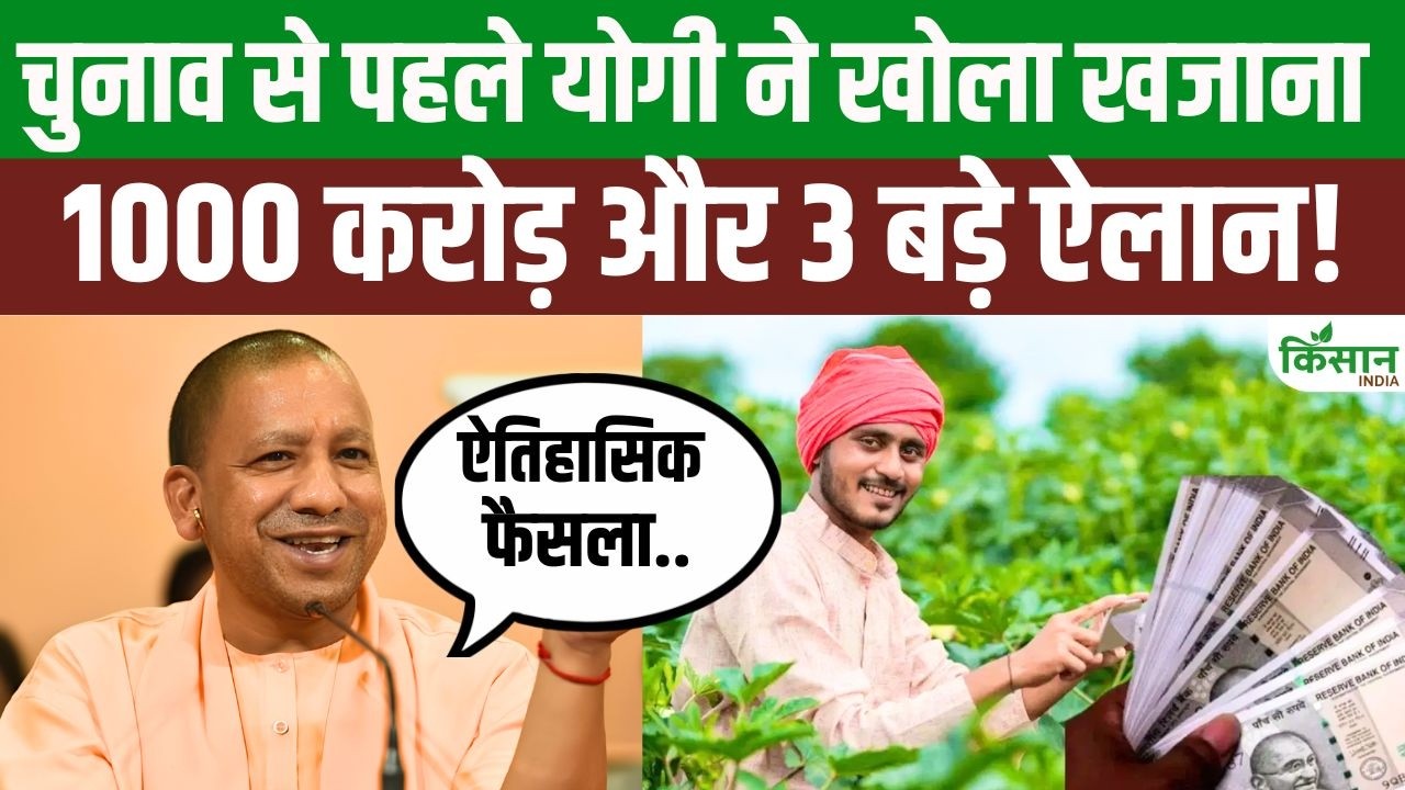 Major Boon For Up Potato Farmers 3 New Schemes A 1000 Crore Fund And Massive Subsidies On Seeds