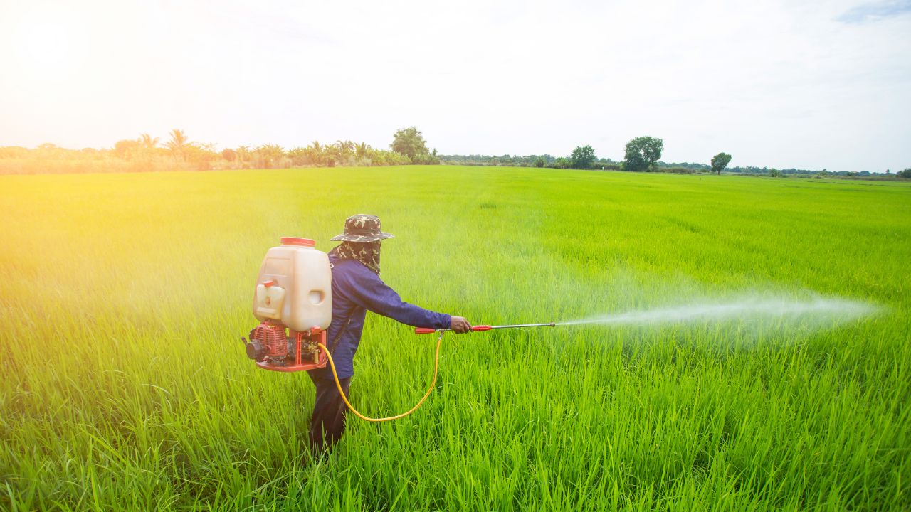 Government May Ban The Use Of Carbosulfan After Paraquat
