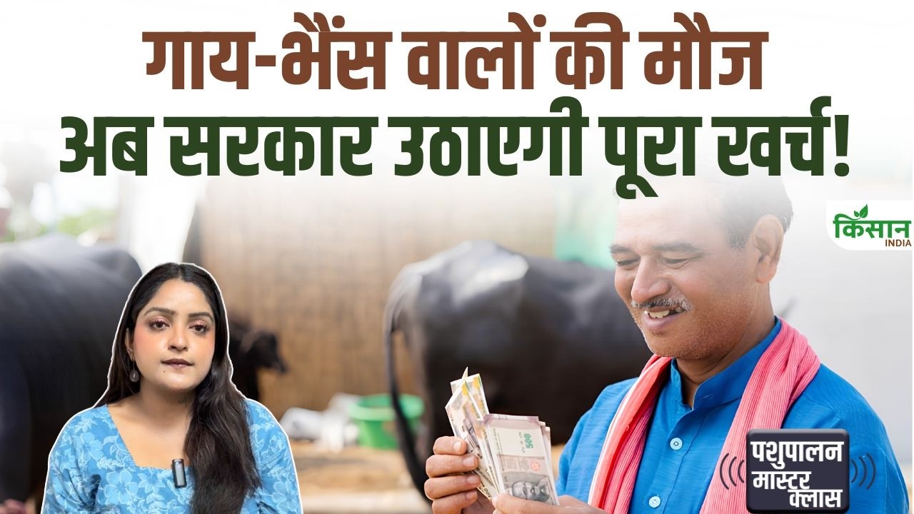 Rajasthan Animal Insurance Scheme: गाय-भैंस पर 40,000 रुपये तक बीमा, बकरी-भेड़ पालकों को भी मिलेगा लाभ