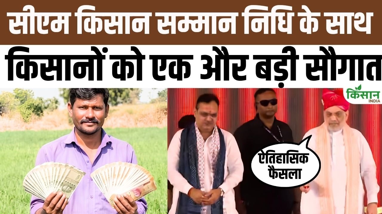 Major Gift Ahead Cm Kisan Kalyan Installment Bhajanlal Government Disbursed 5669 Crore Farmers