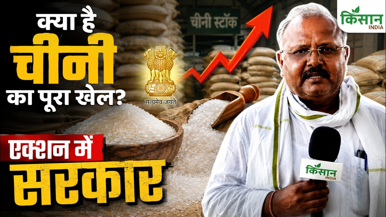 Price Hike Hits Sugar Why Are Sugar Prices Spiraling Out Of Control