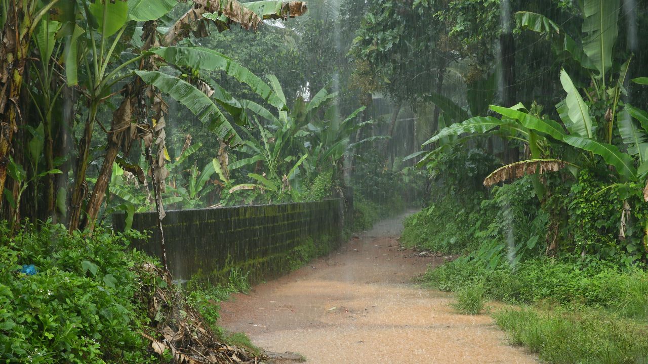 11 अगस्त तक बारिश का अलर्ट, कई राज्यों में मौसम का तांडव.. उत्तराखंड में स्कूल बंद का ऐलान