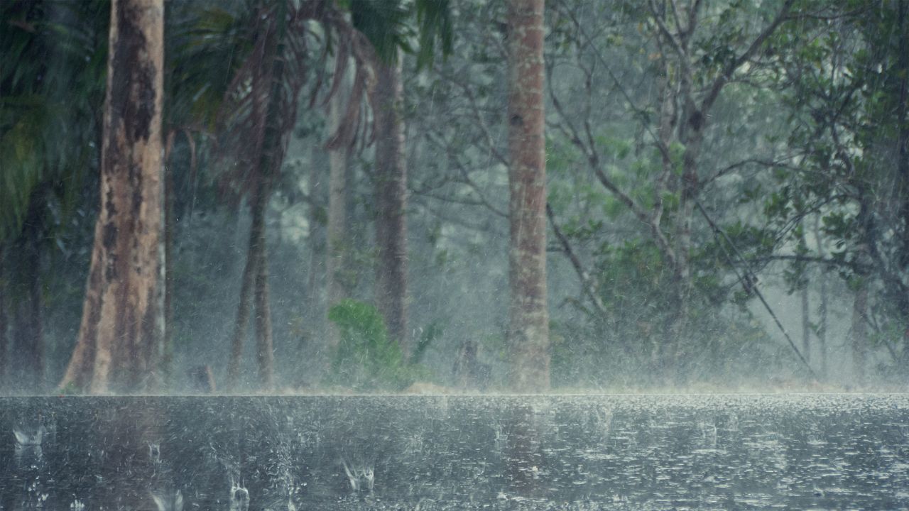 Weather Update Heavy Rain Alert In 22 States On August 28 Strong Winds Up To 90 Kmph