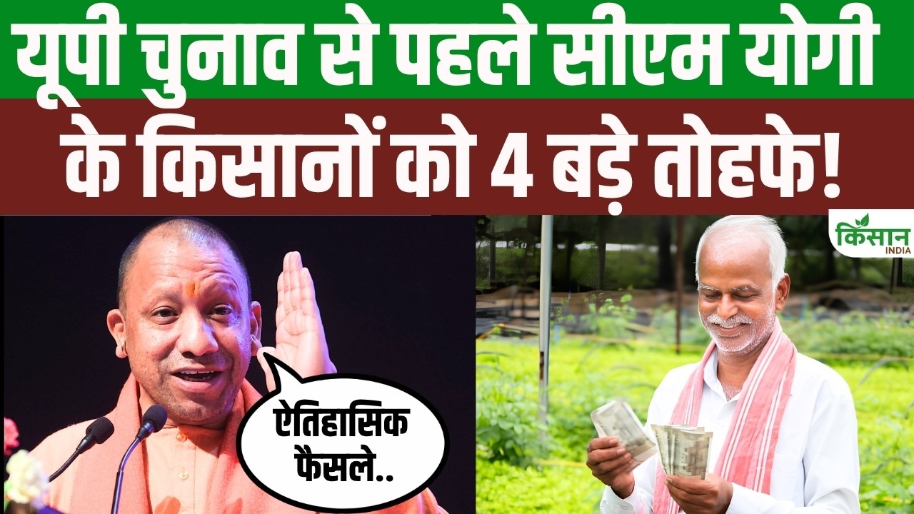 Cm Yogi Major Announcement Ahead Raksha Bandhan 3 53 Lakh Cooks Receive 4 Gifts