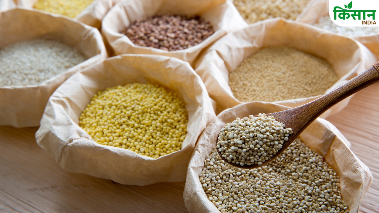 Wheat No More Millets Business 35 Percent Government Subsidy Ragi Jowar Processing Unit