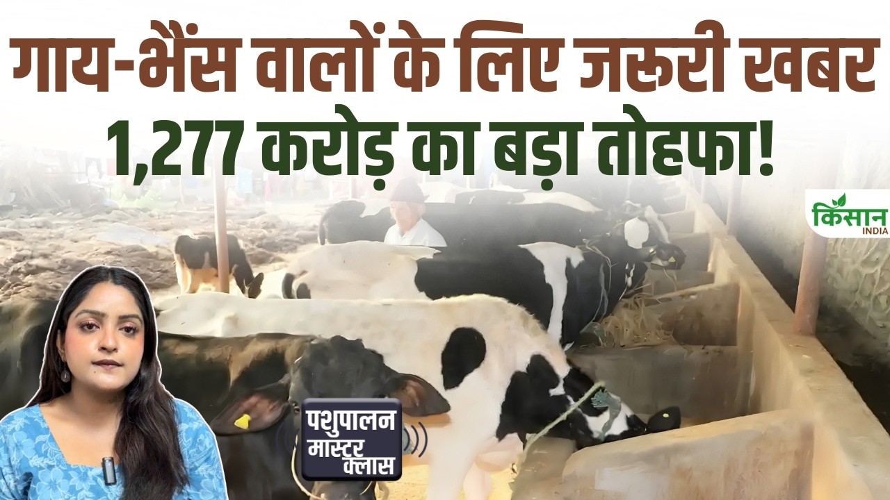 Dairy Farmers Receive Aid Worth 1277 Crore Entire Milk Related Ecosystem Upgraded With High Tech Solutions