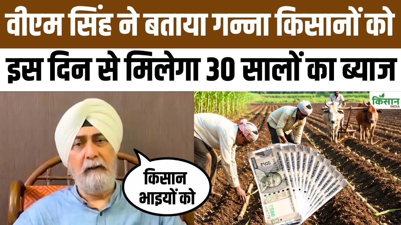Sardar Vm Singh Makes A Major Claim Recovery Begun Sugarcane Farmers Receive Interest Starting From This Date