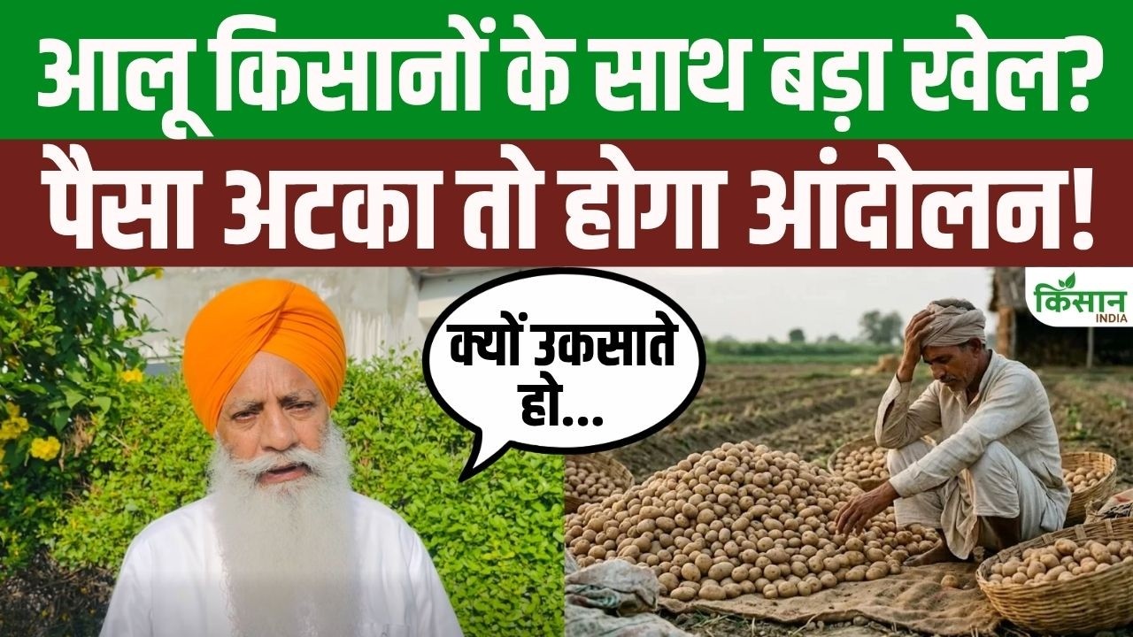 90 Crore Owed To Potato Farmers Stuck Chaduni Issues Major Ultimatum To Government
