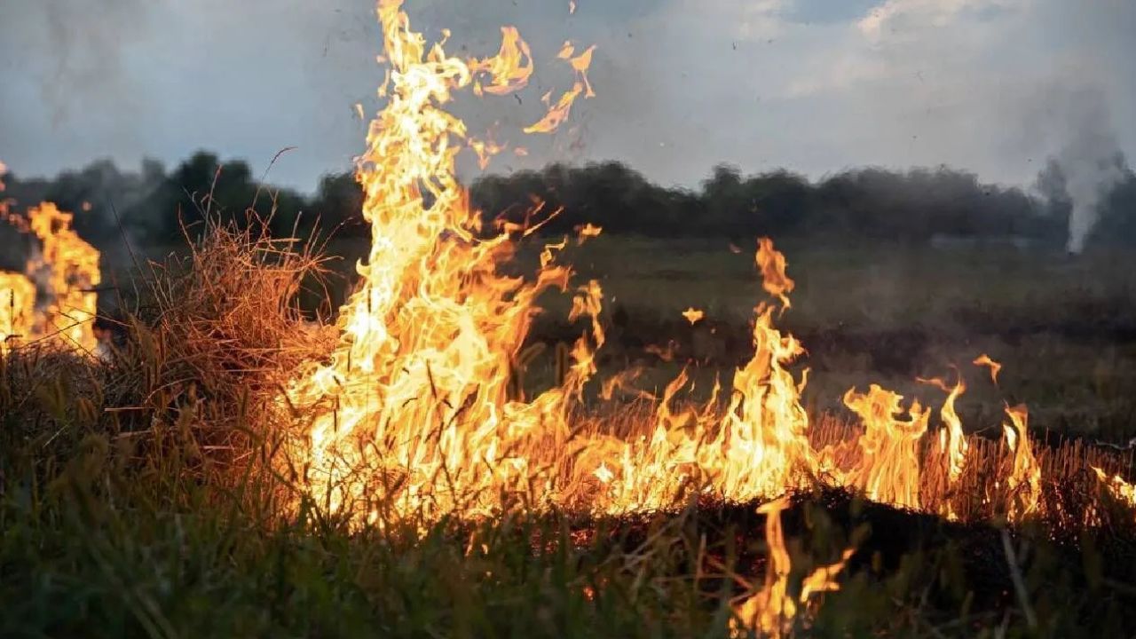 Air Quality Management Commission Also Measure The Area Burned Along With Counting The Fires