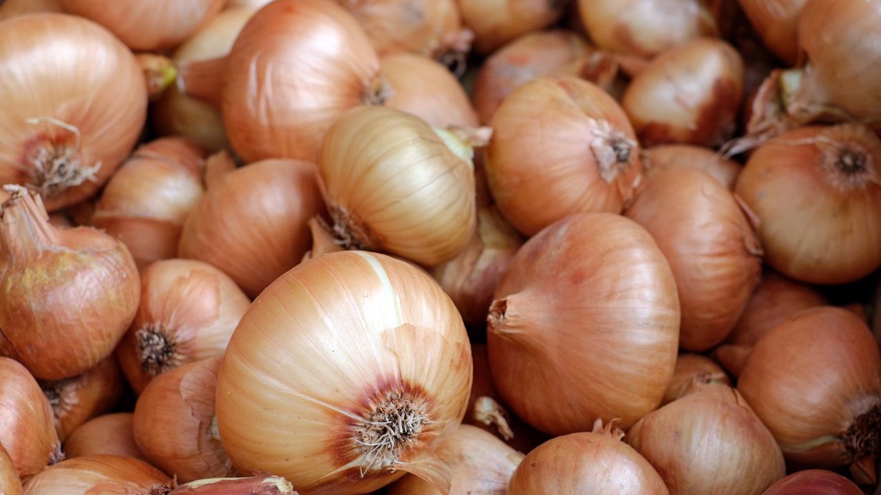 Onions Are Expensive Despite Buffer Stocks Supply Crisis Due To Reduced Kharif Acreage Rate Is Rs 87 Per Kg
