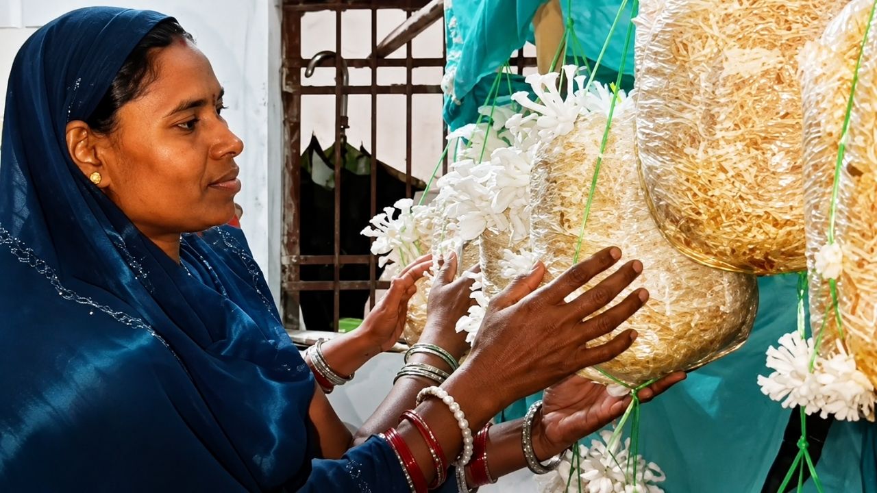 Chhattisgarh Women Earning Rs 25000 Per Month Through Mushroom Farming At Home Under Nrlm Scheme