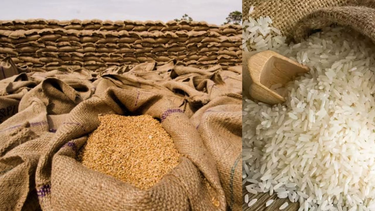 Food Grain Production Projected To Rise By 5 Pc Storage Capacity Increased Through Pacs Warehouses