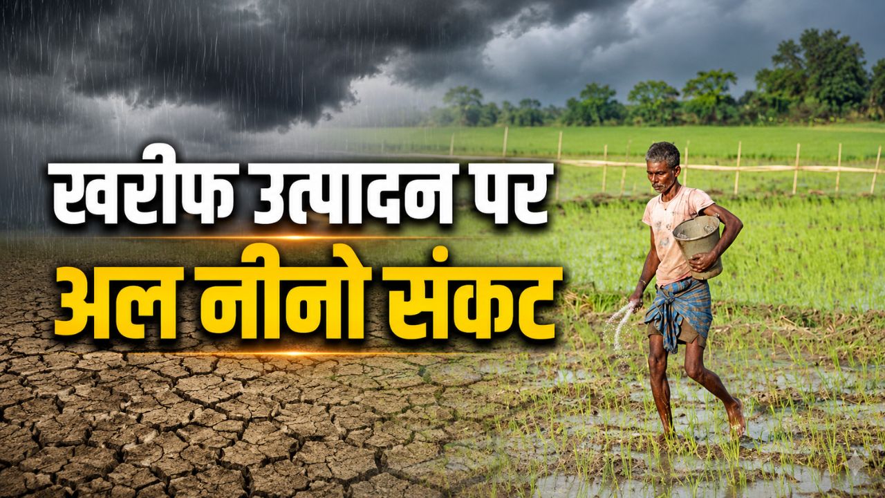 Strong El Nino Poses Heightened Risk To Agriculture Icici Bank Report Expresses Concern Over Kharif Production And Quality