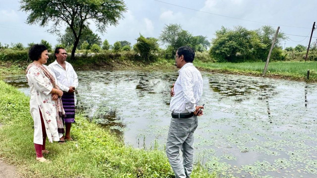 Fish Farming And Water Chestnut Cultivation In A Constructed Pond Have Doubled The Earnings Of Halku Farmer From Jabalpur Madhya Pradesh