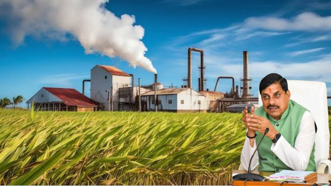 Investment Applications Invited To Restart Kailaras Sugar Mill Morena Daily Sugarcane Crushing Capacity To Be 1250 Tonnes