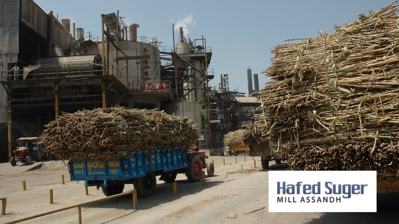 Haryana Cm Approved Rs 11 Cr Funds To Operate Assandh Sugar Mill In October 2026 27 Crushing Season