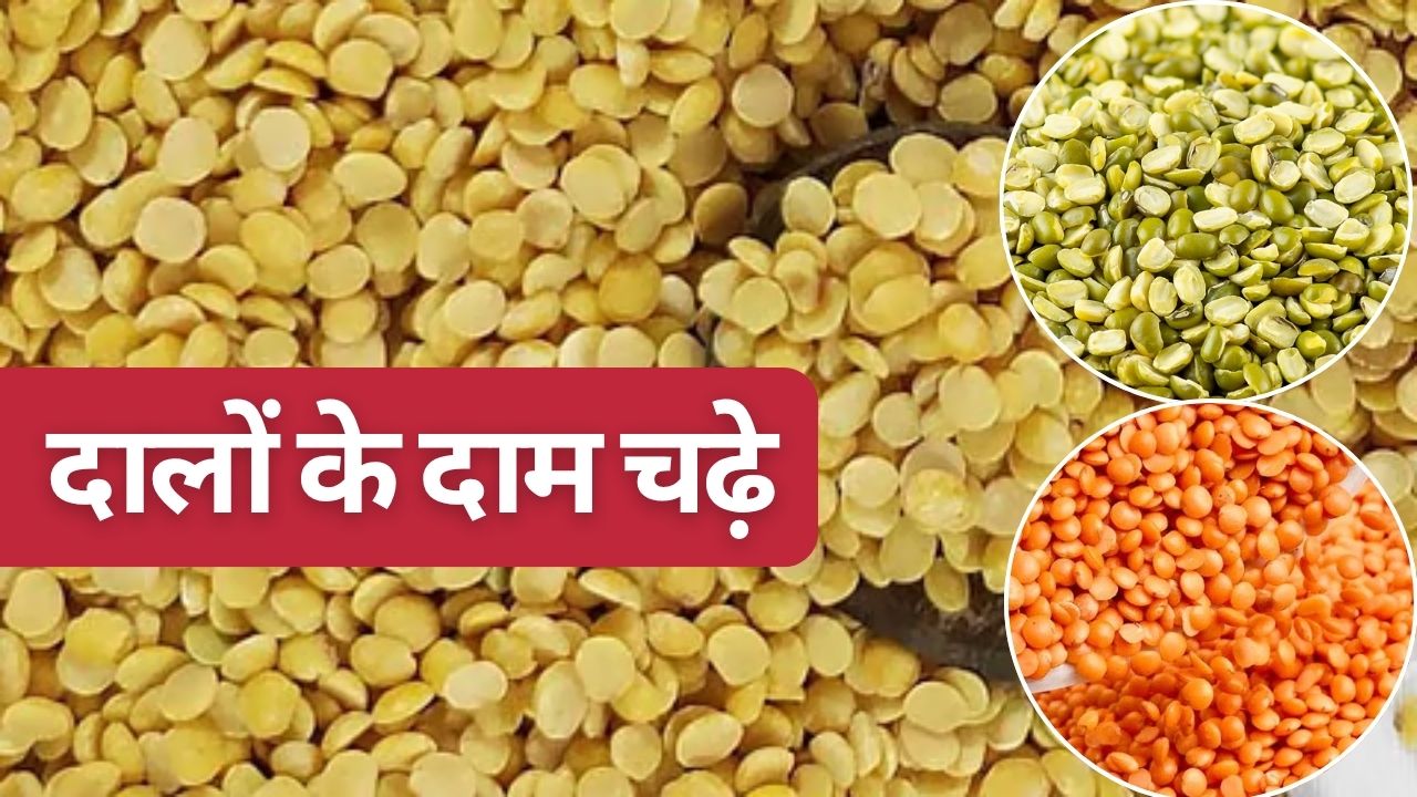 Pulses Hit By Price Surge Tur Arhar And Urad Retail Price Jump 9 Pc Check Latest Rates For Chana Moong And Masoor