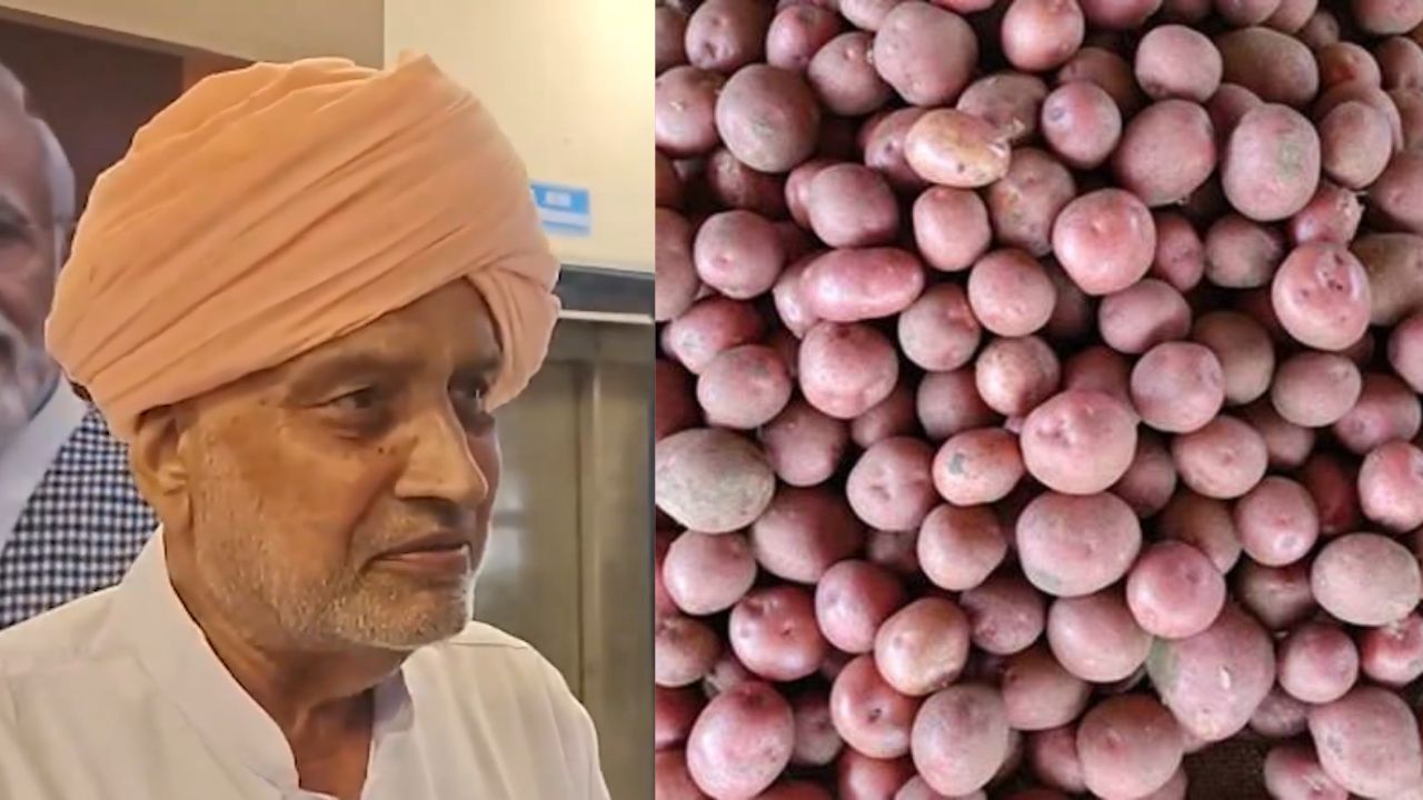 Haryana Govt Provides High Quality Kufri Potato Seeds To Boost Farmer Income And Production