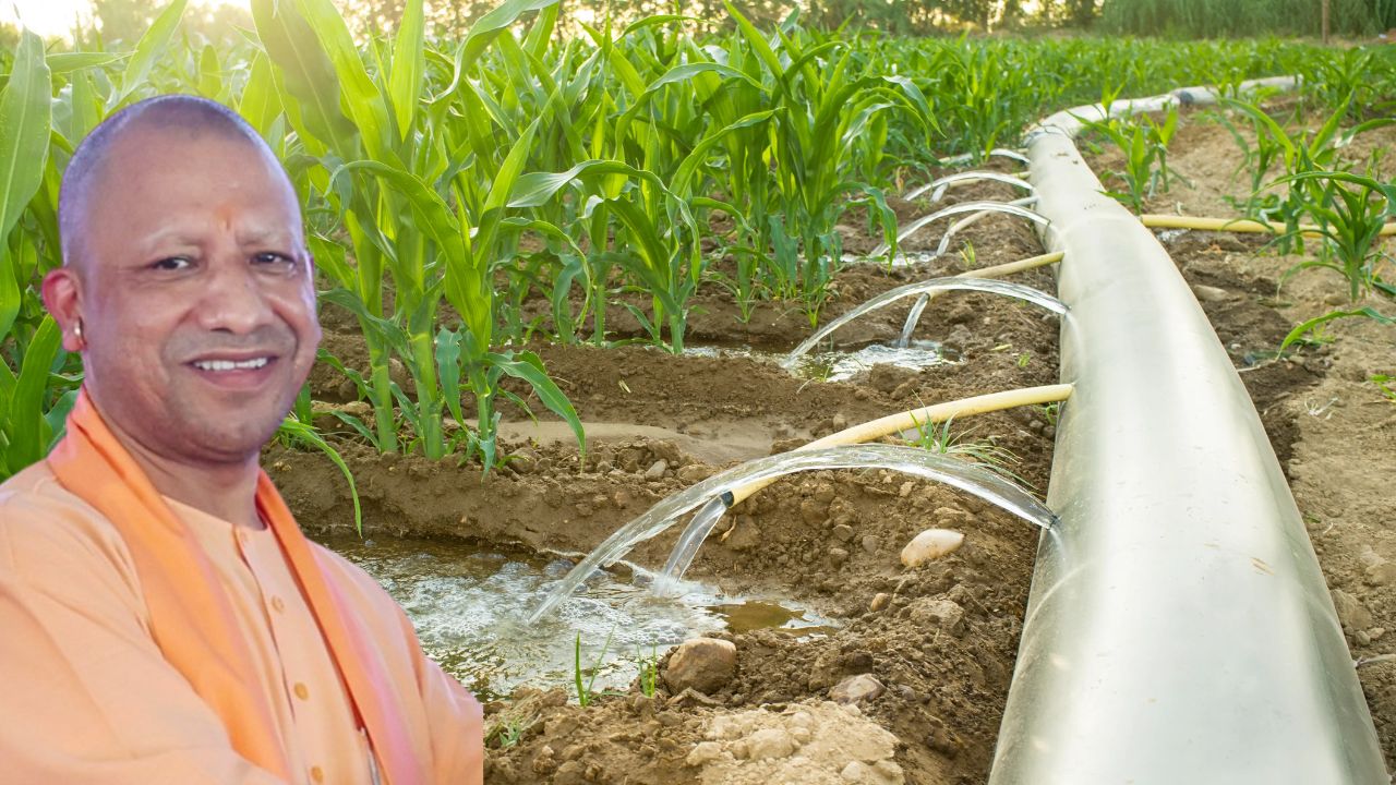 India Israel Project To Resolve Irrigation Crisis In Bundelkhand 24 Villages Crops To Get Water For Irrigation