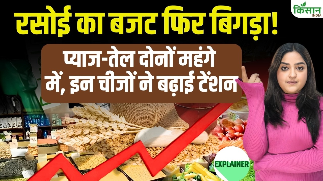 Onion And Oil Prices Have Disrupted The Kitchen Budget Prices These Items Rose In Week Though Some Relief Was Found Her