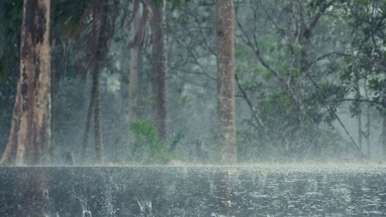 Weather Update Heavy Rain With Thunderstorms Is Expected Temperatures In Delhi Are Expected To Reach 36c