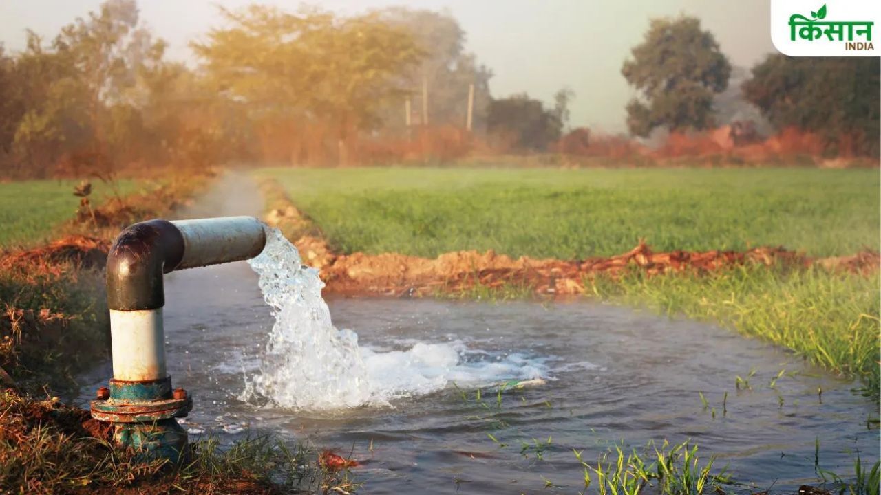 Punjab Electricity Demand Has Risen By 140 Percent Increased Reliance On Tubewells For Paddy Irrigation