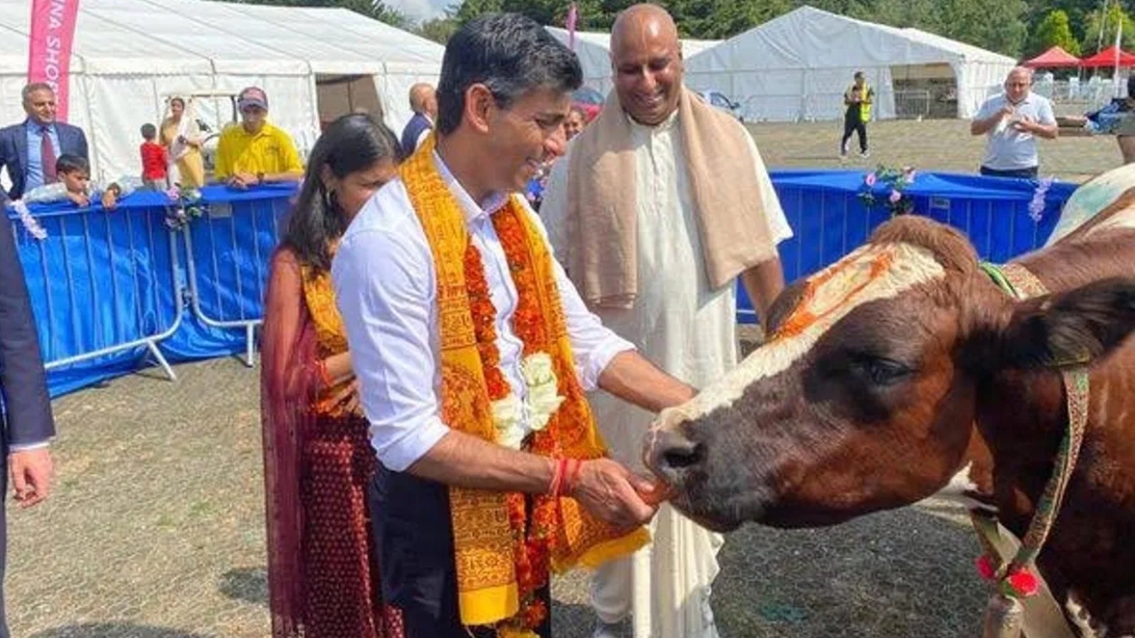 गायों का दूध निकाल रहे रोबोट..सेहत देख रही AI, स्मार्ट डेयरी देखकर हैरान हुए ऋषि सुनक