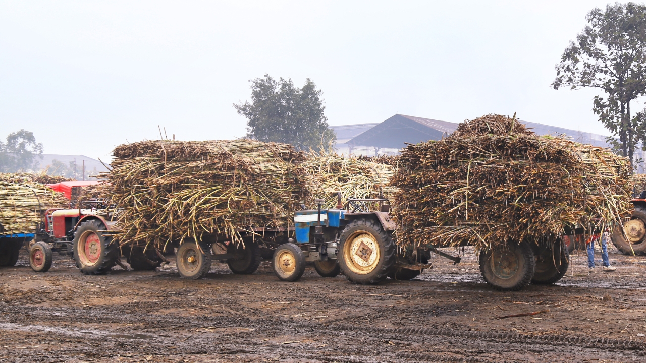 Maharashtra Sugarcane Crushing Date Sugar Price Relief September 9 Meeting