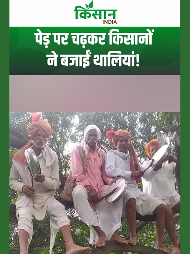 MP के Sehore में घायल किसान के न्याय के लिए अनोखा प्रदर्शन, पेड़ पर चढ़कर किसानों ने बजाईं थालियां!
