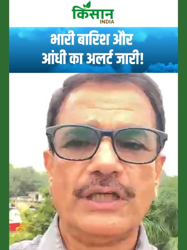 बंगाल की खाड़ी में फिर हलचल! 2 सिस्टम एक्टिव, इन राज्यों में धुआंधार बारिश का खतरा!