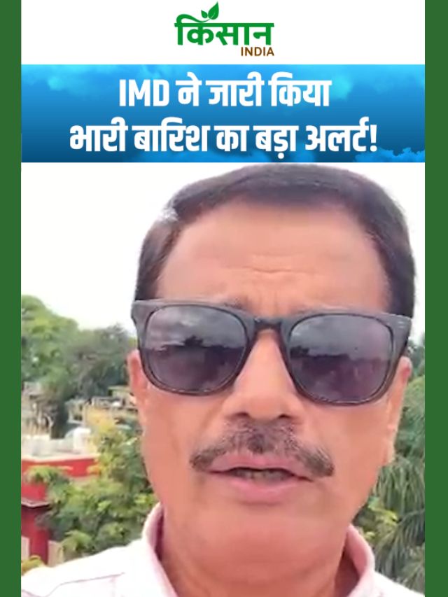 मौसम विभाग का बड़ा अलर्ट! UP-बिहार समेत 23 राज्यों में भारी बारिश का अलर्ट!