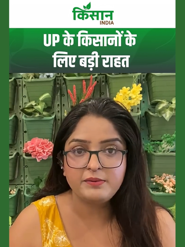 UP के किसानों के लिए बड़ी राहत! फसल बीमा की तारीख बढ़ी, अब 10 सितंबर तक करा सकेंगे बीमा