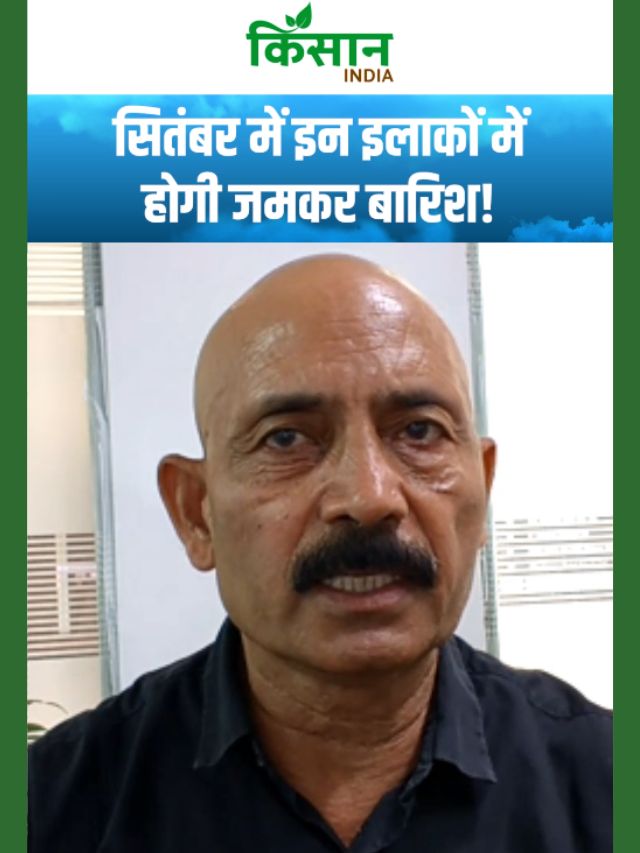 सितंबर में इन इलाकों में कहर बरपाएगी बारिश, स्काईमेट के एक्सपर्ट ने दी चेतावनी!