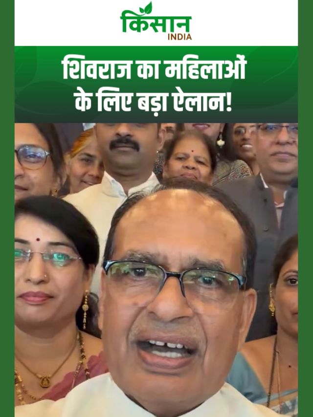 लखपति दीदियों के लिए शिवराज का बड़ा ऐलान, हेल्पलाइन होगी शुरू