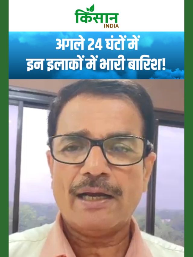 अगले 24 घंटों में इन इलाकों में होगी झमाझम बारिश, आईएमडी ने जारी किया पूर्वानुमान!