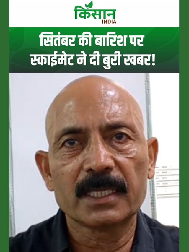 Skymet Weather ने Monsoon की बारिश पर दी बुरी खबर, सितंबर में कम बारिश का अनुमान!