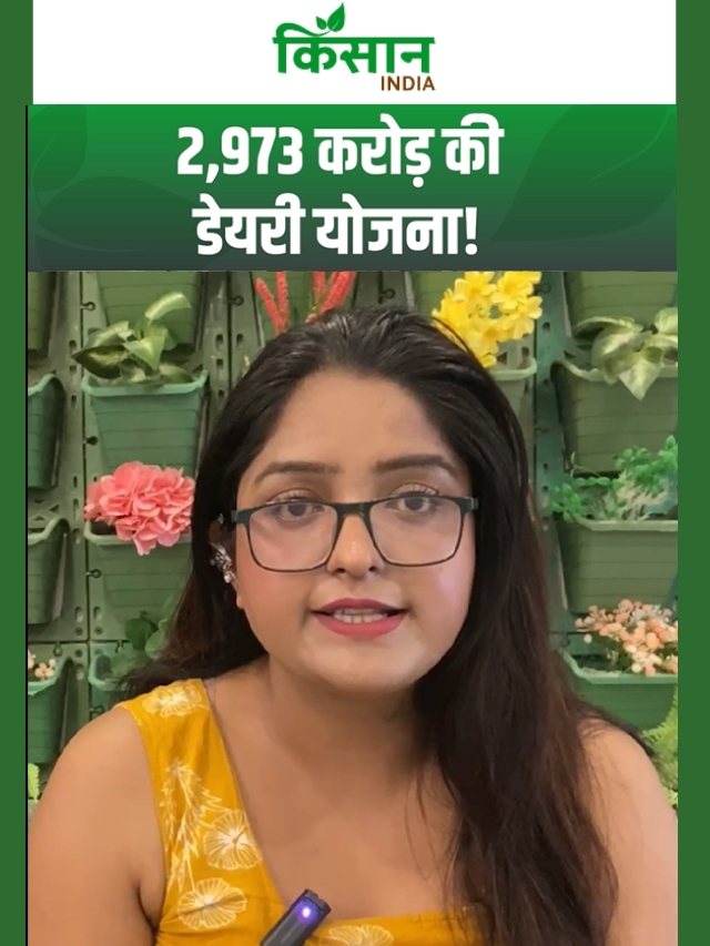 MP में डेयरी सेक्टर का बड़ा विस्तार, 2,973 करोड़ की योजना