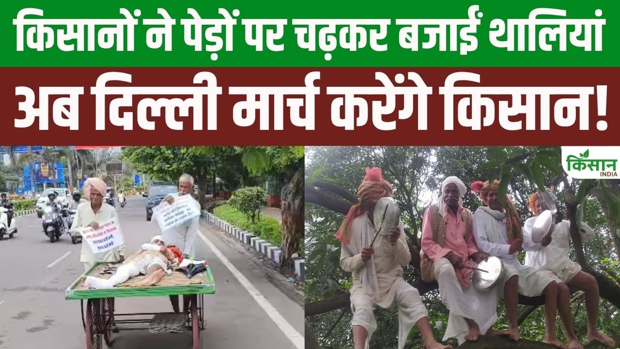 Farmers Up In Arms Clanged Plates While Perched On Trees Now Protest Reach Pmo