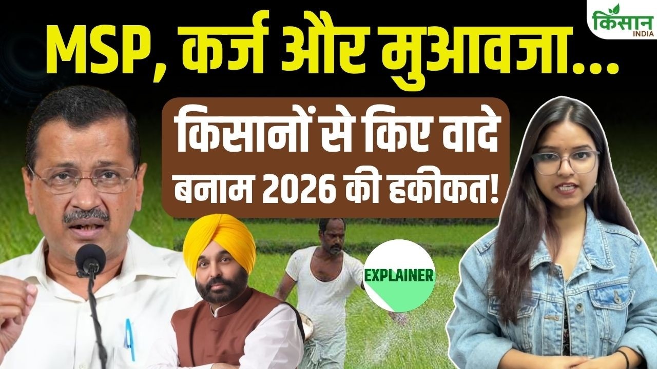Aap Government Farmer Report Card In Punjab From Loan Waivers Msp How Many Promises Were Fulfilled