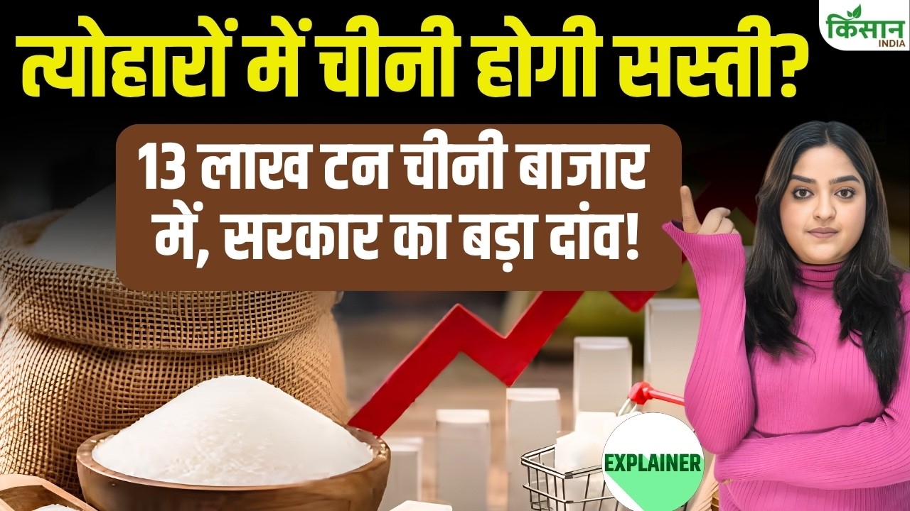 Sugar Become Cheaper Or More Expensive During Festive Season Import 10 Lakh Tonnes To Shift Market Dynamics