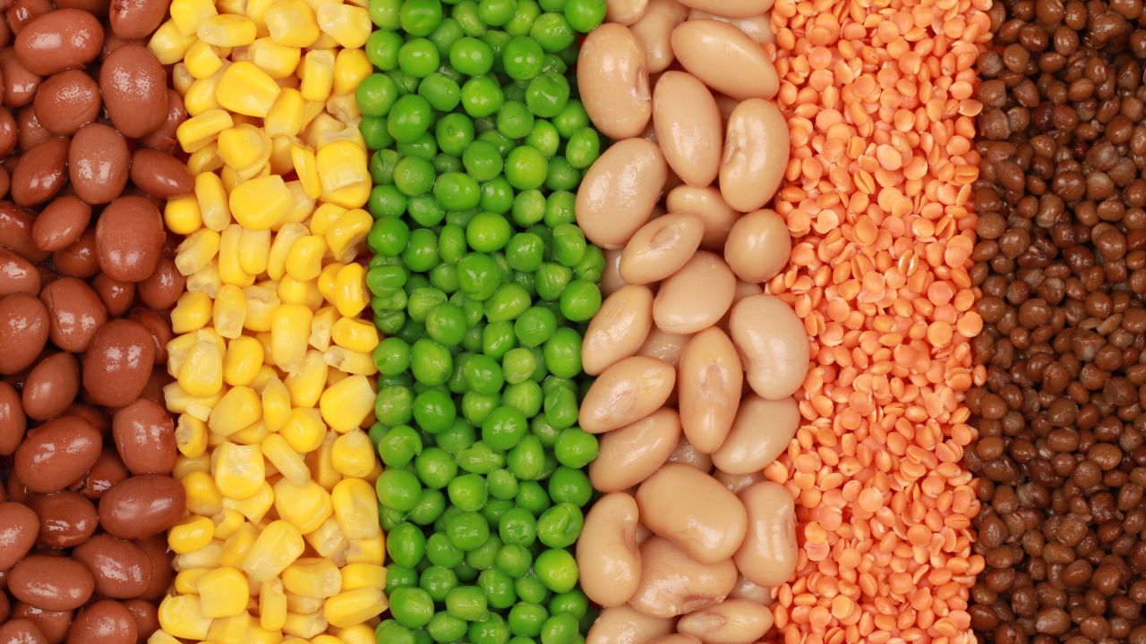 Telangana Demands 100 Percent Procurement Of Pulses Maize Sorghum And Oilseeds From The Centre
